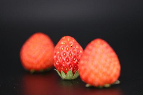 最新爆料草莓图片高清,高清视觉盛宴下的甜蜜诱惑 第1张 最新爆料草莓图片高清,高清视觉盛宴下的甜蜜诱惑 第1张